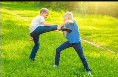 In-Jamner,-two-brothers-fight-for-uncle's-son