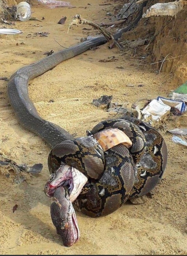 ०००००००