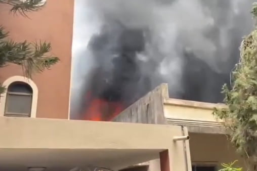 firee