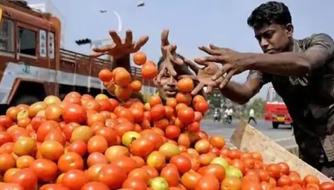 टोमतो