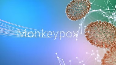 monkey