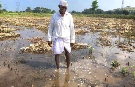 पिकांचे नुकसान