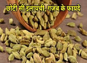 वेलची