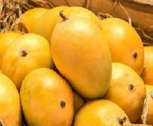 amba