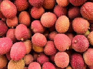 लिची