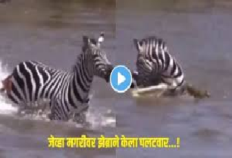 Viral Video 1