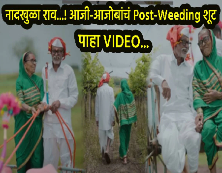 Viral Video.png 1