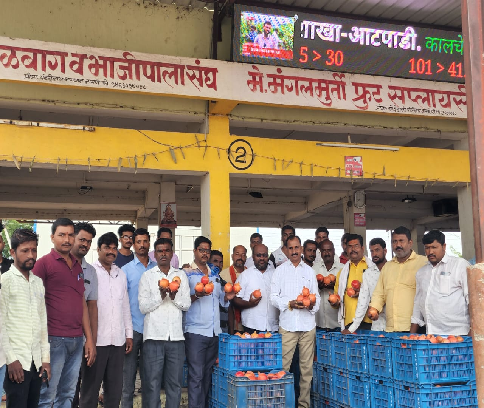 आटपाडीमध्ये डाळिंबाला उच्चांकी दर