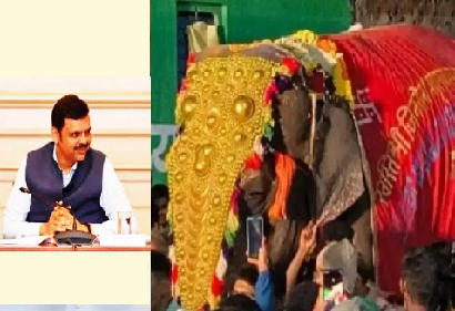 देवेंद्र फडणवीस महादेवी हत्ती