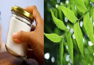 मिठ कडुलिंबाची पाने