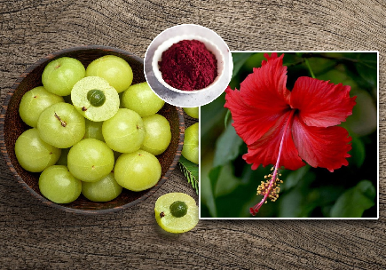 आवळा आणि जास्वंद पूड