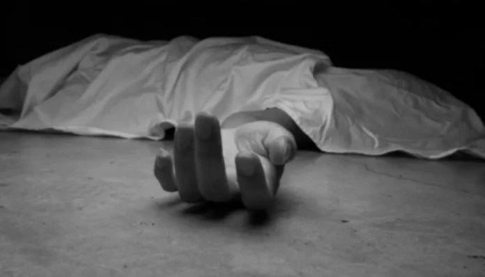 Screenshot 2026-03-26 222258